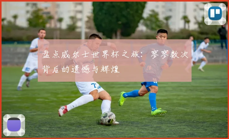 盘点威尔士世界杯之旅:寥寥数次背后的遗憾与辉煌