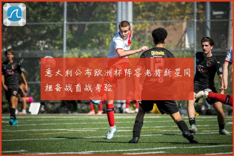 意大利公布欧洲杯阵容老将新星同框备战首战考验