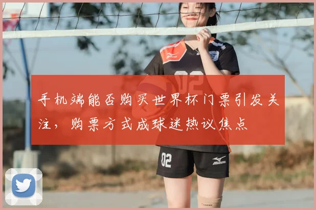 手机端能否购买世界杯门票引发关注，购票方式成球迷热议焦点