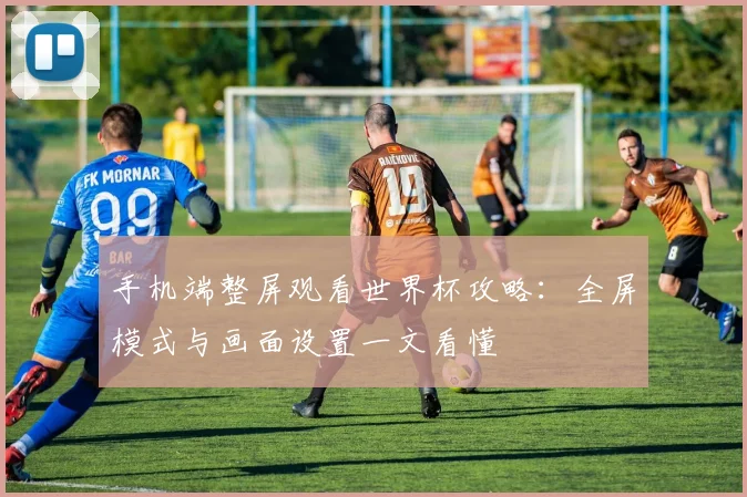 手机端整屏观看世界杯攻略：全屏模式与画面设置一文看懂