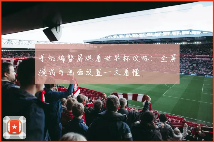 手机端整屏观看世界杯攻略：全屏模式与画面设置一文看懂